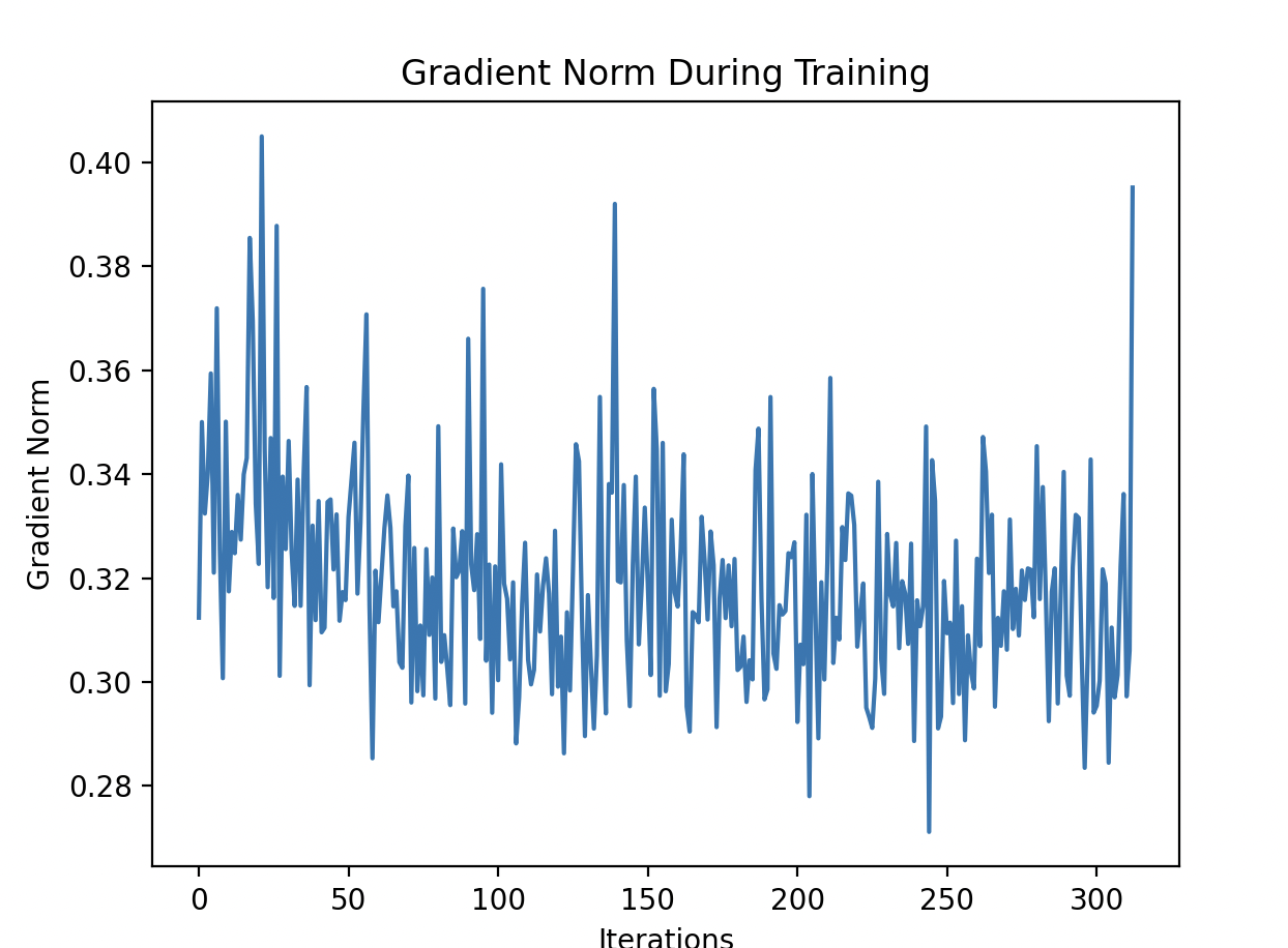 Gradient Norms Visualization