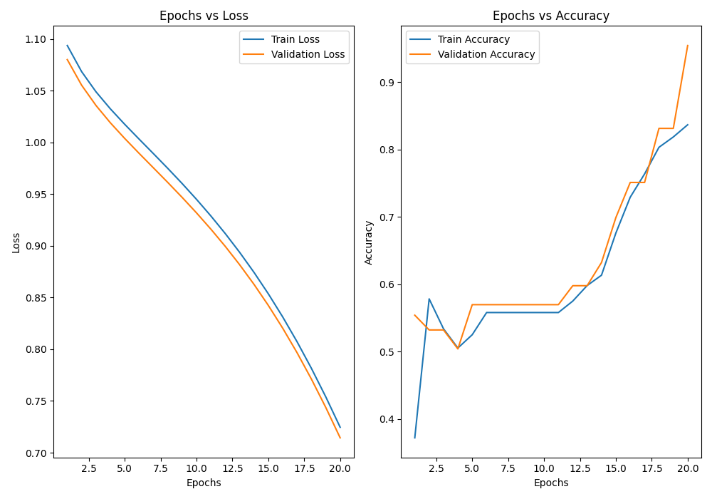 Loss and Accuracy curves